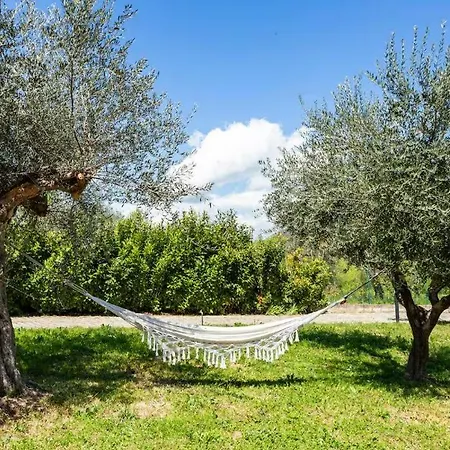 Business Confortevole E Funzionale Trignano