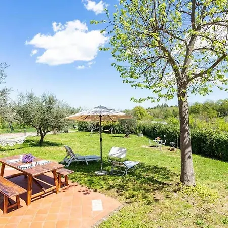 Business Confortevole E Funzionale