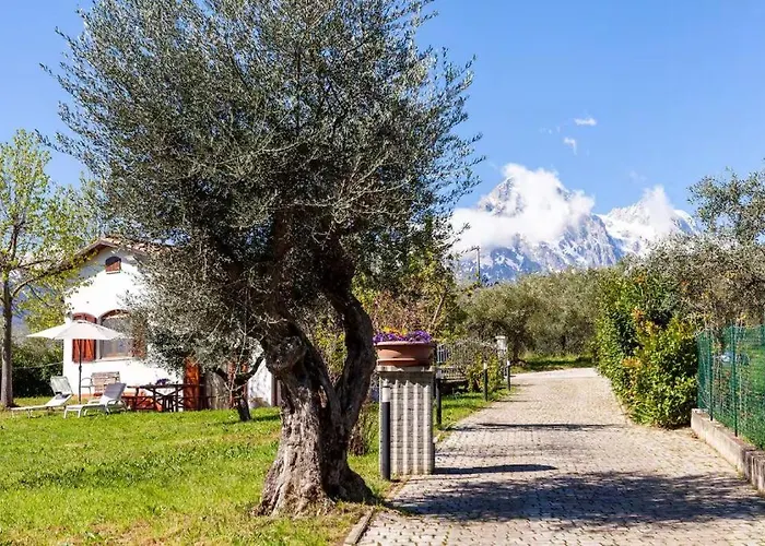 Business Confortevole E Funzionale Apartamento *