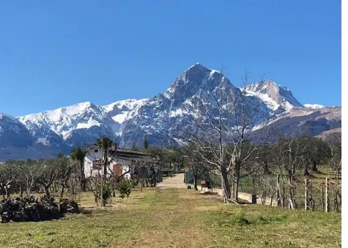 Business Confortevole E Funzionale