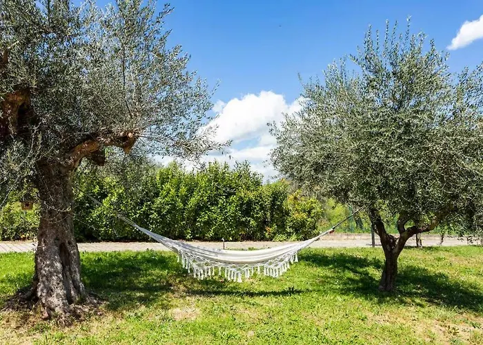 Business Confortevole E Funzionale Trignano